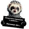 Аватара пользователя
